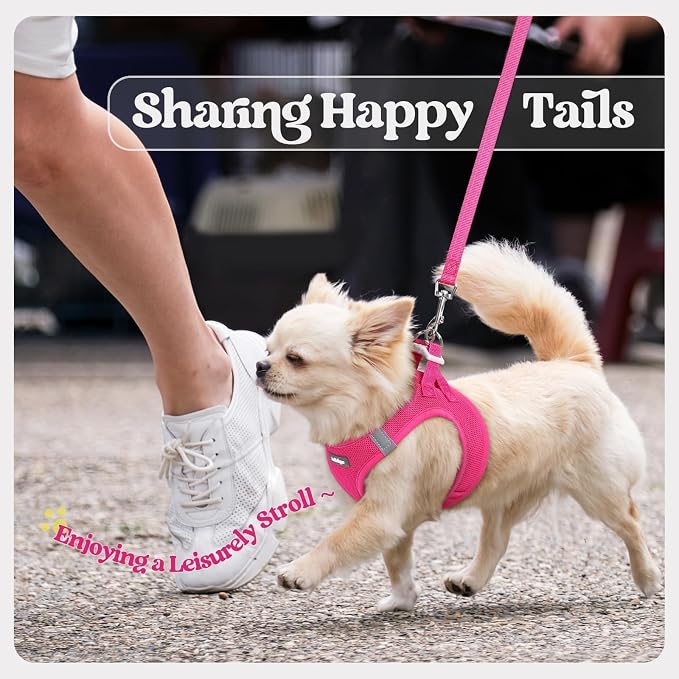 rabbitgoo Dog Harness Medium Sized and Leash Set, Step-in Puppy Pet Vest | Light, Soft, Breathable Air Mesh, Easy on and Remove with Hook & Loop, Secure Reflective for Walking, Rose Red XL - Image 9
