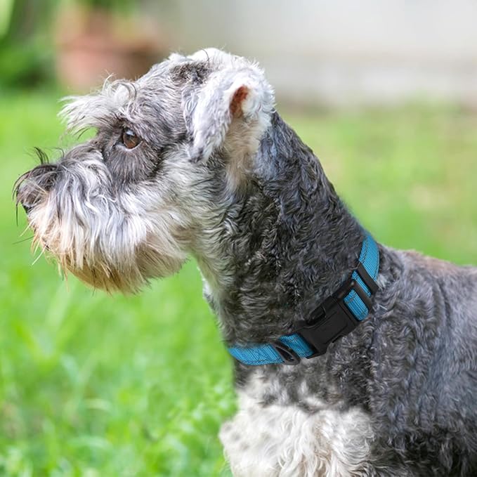Joytale Reflective Dog Collar, Adjustable Neoprene Padded, Sky Blue M | Breathable Nylon for Medium Dogs, No Chafing on Walks and Backyard Play, All-Day Comfort, Metal D-Ring, Night Safety - Image 2