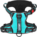 PoyPet No Pull Dog Harness with 3 Leash Clips and Vertical Handle | No Choke, Reflective, Adjustable, Soft Padded, Dog Vest for Large Dogs, Walking Training, Mint Blue, L by PoyPet
