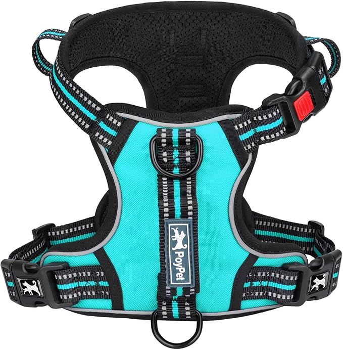 PoyPet No Pull Dog Harness with 3 Leash Clips and Vertical Handle | No Choke, Reflective, Adjustable, Soft Padded, Dog Vest for Large Dogs, Walking Training, Mint Blue, L by PoyPet