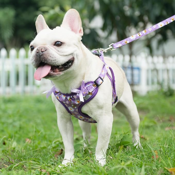 PUPTECK Dog Harness and Leash Set Medium Sized, Step in No Pull Adjustable Puppy Cat Harness Reflective Pet Vest - Image 5