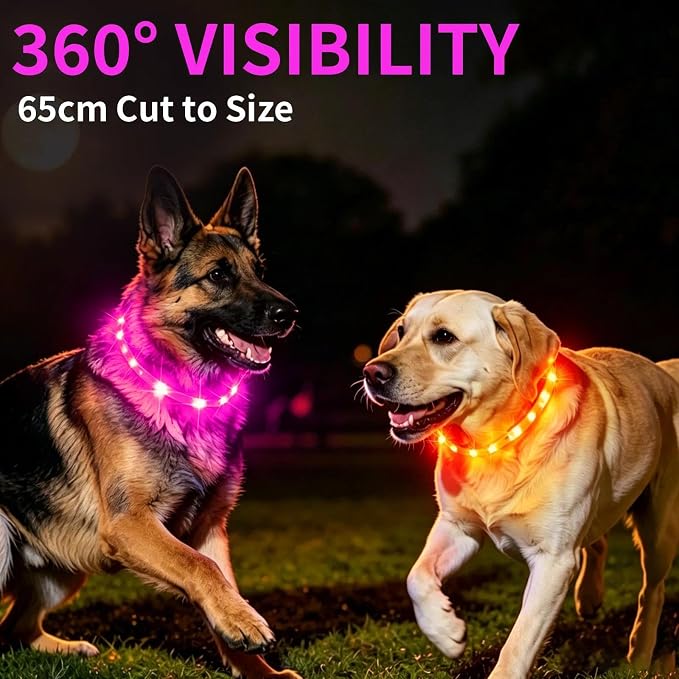 LaRoo LED Dog Collar, USB Rechargeable Flashing Light Dog Collar, Nighttime Safety, Cuttable Size for Small Medium Large Dogs, Makes Your Pet Visible in The Dark (Rose Red) - Image 4