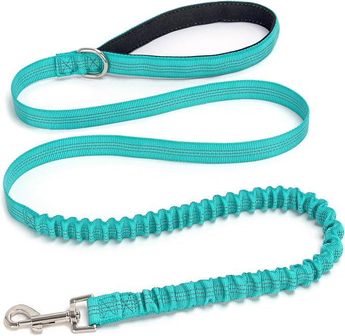 5FT Bungee Dog Leash Shock Absorbing Reflective Small Medium Dogs | Nylon Lightweight Leash- 2cm Wide- Anti- Pull Training- 6 Colors (Turquoise) by Mycicy