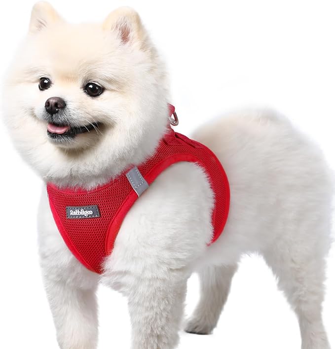 rabbitgoo Step-in Small Dog Harness, Puppy Vest for Small Sized Pet | Easy Put on and off, Lightweight, Soft, Breathable Quick-Dry Air Mesh for Comfortable Secure Walking, Red S by rabbitgoo