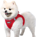 rabbitgoo Step-in Small Dog Harness, Puppy Vest for Small Sized Pet | Easy Put on and off, Lightweight, Soft, Breathable Quick-Dry Air Mesh for Comfortable Secure Walking, Red S by rabbitgoo