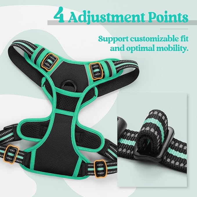 rabbitgoo Dog Harness, No Pull for Small Dogs with 2 Leash Clips, Pet Vest | No Choke with Handle, Adjustable Soft Padded, Reflective, Easy Control for Walking, Black & Turquoise, Small - Image 4
