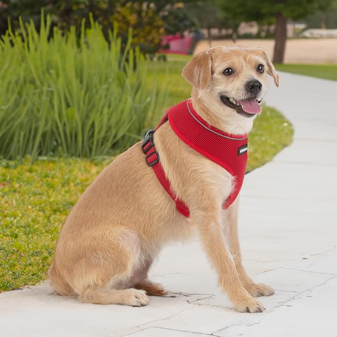 Best Pet Supplies Voyager Aerolite Over the Head Dog Harness, No Pull Breathable Air Mesh Vest, Quick Dry with Reflective Stitching, Adjustable Escape Resistant Harness - Red, Large - Image 6