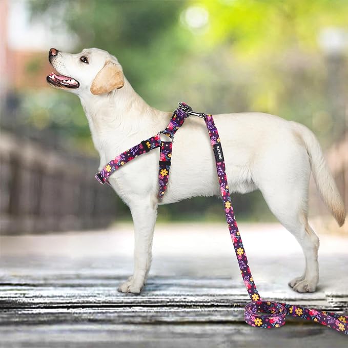Dog Harness Leash Set Adjustable Heavy Duty No Pull Halter Harnesses for Small Medium Large Breed Dogs Back Clip Anti-Twist Perfect for Walking - Image 6