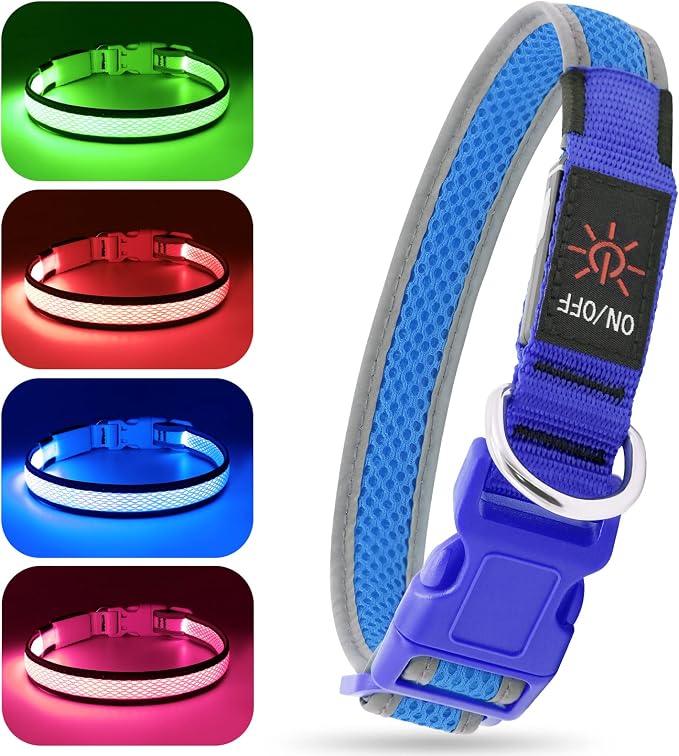 BSEEN Light Up Dog Collar, Reflective LED Puppy Collar Rechargeable Glow in the Dark Dog Lights for Night Walking (Small, Blue) - Image 2