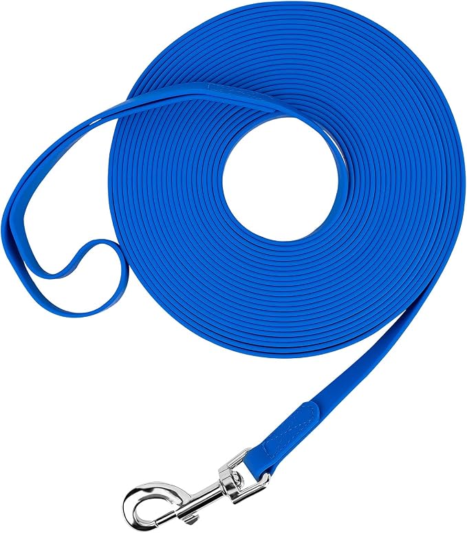 Waterproof Long Leash Durable Dog Recall Training Lead Great for Outdoor Hiking, Training, Yard, Beach and Swimming (Blue, 10ft) by Qiaosite