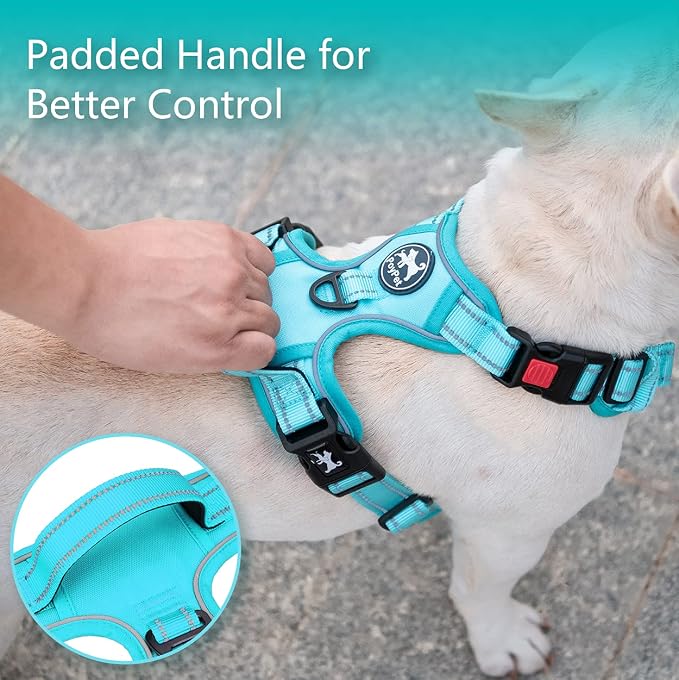 PoyPet No Pull Dog Harness, Reflective Vest with 2 Leash Clips & Handle | Lockable Neck Release Buckle, No Choke, Adjustable, Soft Padded, for Walking Training, Mint Blue Matching Trim, Large - Image 7