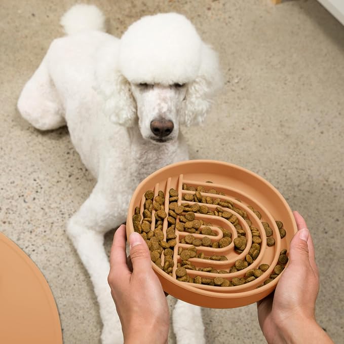 Should We Go? Slow Feeder Dog Bowls - Large Size Silicone Slow Eating Dog Bowl for Puppies & Dogs with Suction Cup -Dishwasher-Safe,Lick Mat Design,Reduces Gulping,for All Breeds,9.5”x1.5”-Terracotta - Image 6