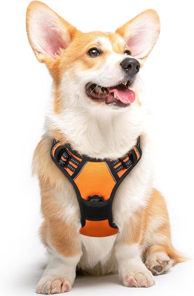 Eagloo Dog Harness for Medium Sized Dogs, No Pull Vest with 2 Leash Clips | No Choke with Handle, Adjustable Comfort Fit, Reflective Strips, Easy Walking Control, Orange, Medium by GoExplorewithEagloo