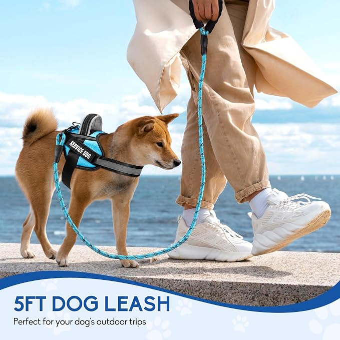 Service Dog Vest Harness and Leash Set, Animire in Training Dog Harness with 10 Dog Patches, Reflective Dog Leash with Soft Padded Handle for Dogs (Light Blue,Xs) - Image 4