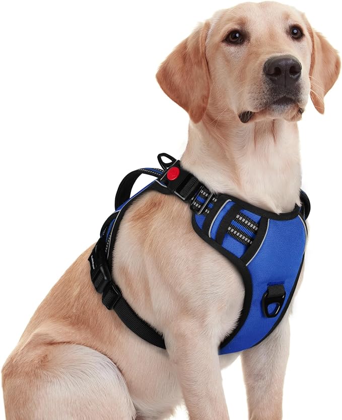 rabbitgoo Large Dog Harness, Easy Wear with 3 Buckles and Lift Handle | No Pull with Front Clip for Walking, Adjustable Soft Padded, Reflective, Easy Control, Blue, Medium by rabbitgoo