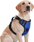 rabbitgoo Large Dog Harness, Easy Wear with 3 Buckles and Lift Handle | No Pull with Front Clip for Walking, Adjustable Soft Padded, Reflective, Easy Control, Blue, Medium by rabbitgoo