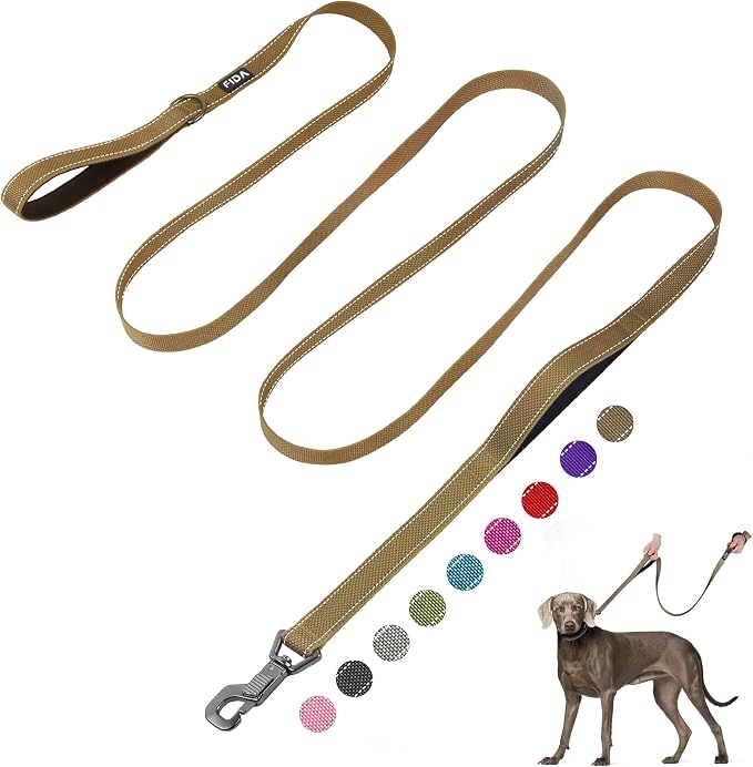 Fida 10 FT Heavy Duty Dog Leash, Dual Padded Handles for Medium Large Dogs | Traffic Handle for Close Control, Advanced Easy Snap Hook, Reflective, Strong Nylon Webbing for Long Walks & Training, Brown by Fida