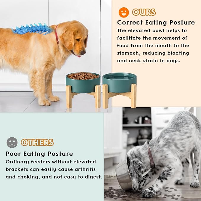 SPUNKYJUNKY Ceramic Elevated Dog Bowls 2 Pack - 5.1inch Raised Dog Bowls with Non-Slip Wooden Stand for Small Dogs Dishwasher Safe(Green,13.5OZ*2) - Image 3
