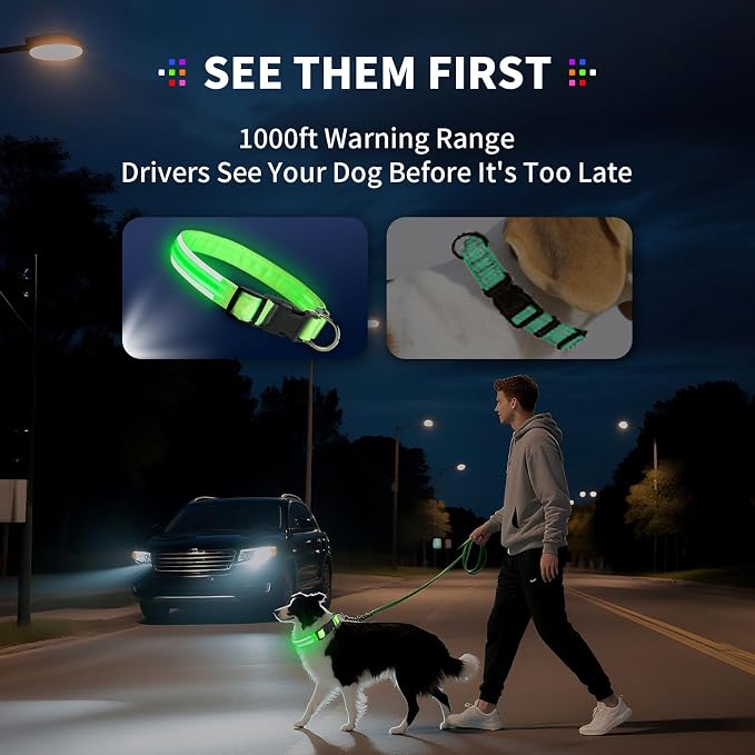 Light Up Dog Collar for Night Walking, Reflective LED Collar(Red, Large) | Bright Safety Glow in the Dark, Adjustable Comfort Fit, Waterproof, Long Runtime, Easy USB-C Charging - Image 6