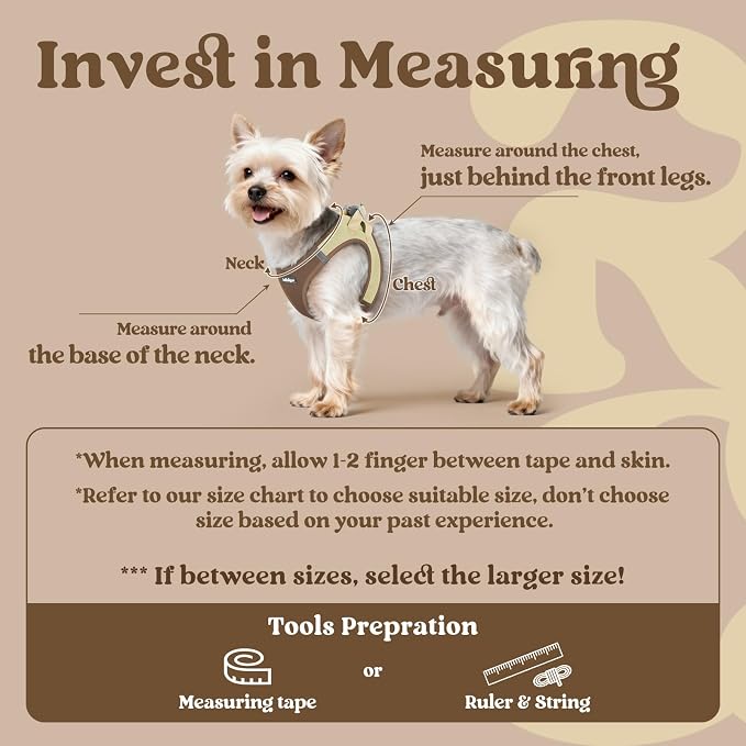 rabbitgoo Step-in Small Dog Harness, Puppy Vest for Small Sized Pet | Easy Put on and off, Lightweight, Soft, Breathable Quick-Dry Air Mesh for Comfortable Secure Walking, Brown & Beige XXS - Image 2
