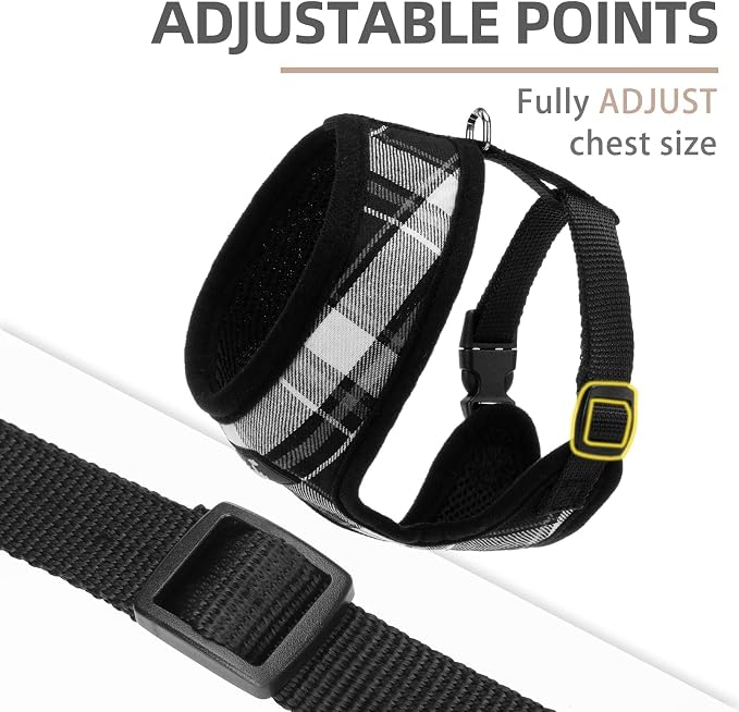 PUPTECK Small Dog Harness and Leash Set No Pull for XS XXS Sized Dogs Puppy | Escape Proof No Choke Pet Cat Adjustable Soft Padded Walking Vest - Image 3