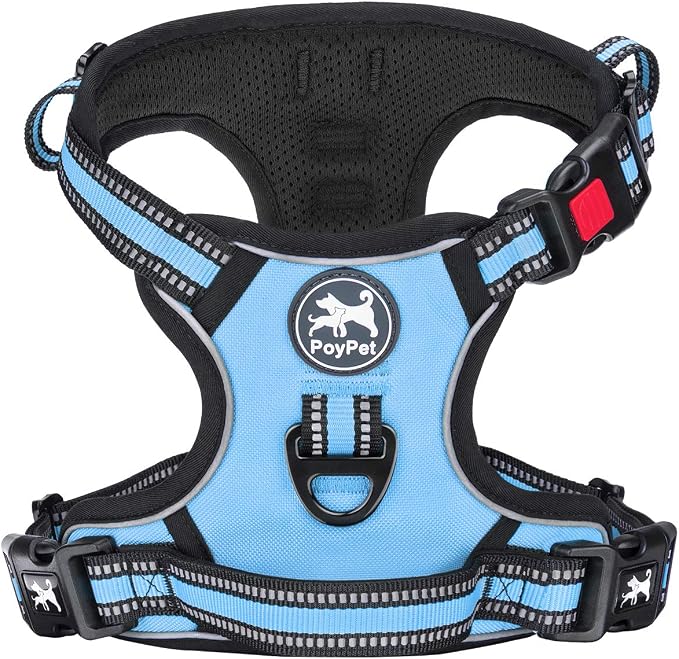 PoyPet Dog Harness Medium, No Pull Vest with Front/Back Clip & Neck Buckle | No Choke, Lockable, Reflective, 2 Lead Rings, Adjustable, Soft Padded Handle for Training Walking, M, Light Blue by PoyPet