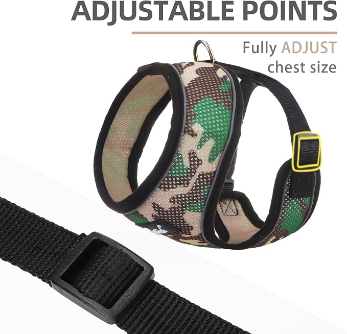 PUPTECK Small Dog Harness and Leash Set No Pull for XS XXS Sized Dogs Puppy | Escape Proof No Choke Pet Cat Adjustable Soft Padded Walking Vest - Image 3