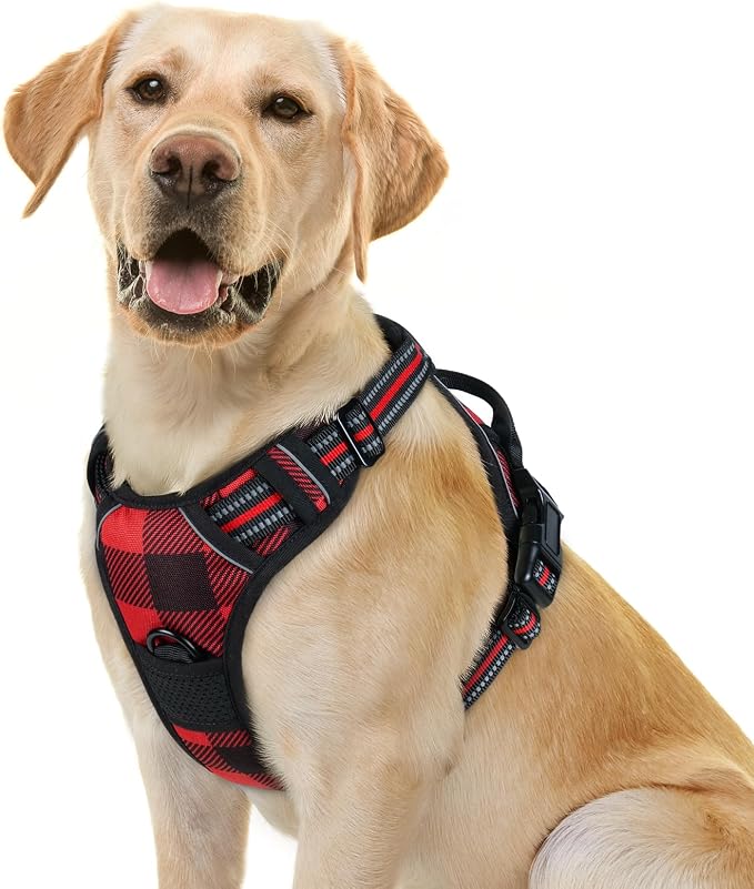 rabbitgoo Dog Harness, No Pull for Large Dogs with 2 Leash Clips, Pet Vest | No Choke with Handle, Adjustable Soft Padded, Reflective, Easy Control for Walking, Red Plaid, Small by rabbitgoo