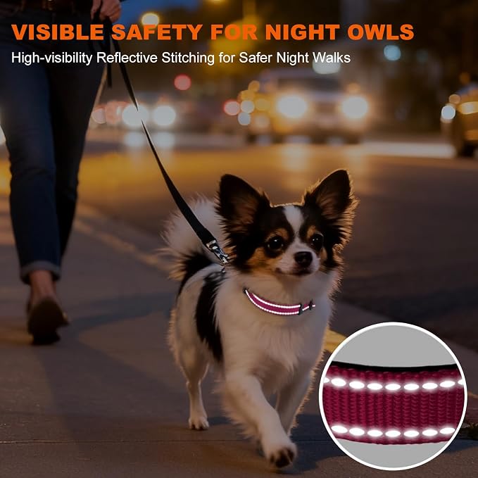 Taglory Reflective Dog Collar for Puppies, Gentle and Safe for Night Walks | Night-Walk Visibility, Soft Neck Cushioning, Adjustable 8-12 in, Locking Buckle, D-Ring for Leash and ID Tags - Image 5