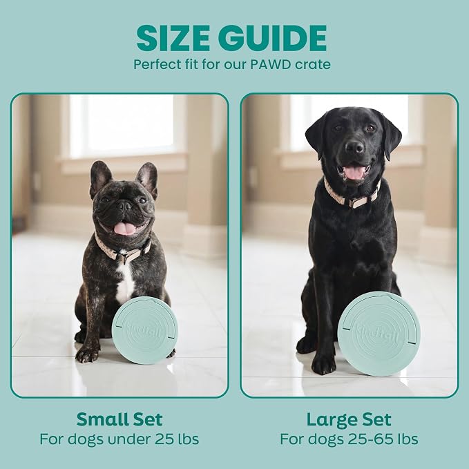 Dog Travel Bowls - Set of 2 Portable Pet Food & Water Dishes with Lid & Handle - Each Nesting Container Includes a Non-Slip Silicone Base - Microwave & Dishwasher Safe - BPA & Toxin-Free - Image 7