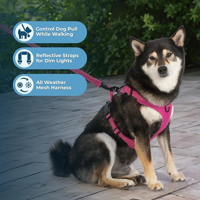 Voyager Dual Attachment No Pull Harness - Fuchsia, X-Large | 28 - 37" in Chest, No Pull Dog Harness, Fully Adjustable, 3M Reflective Technology, Front & Back D-Rings, Walking & Training - Image 5
