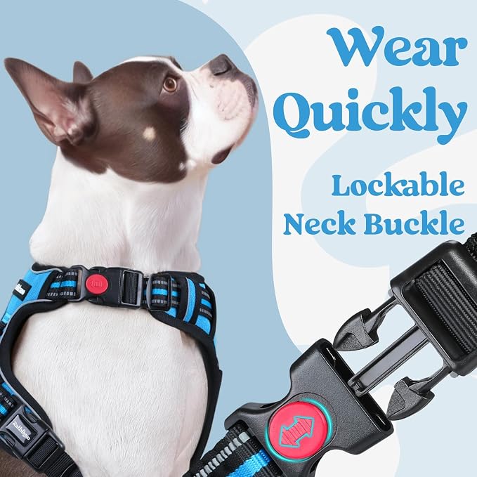 rabbitgoo Dog Harness Medium Sized, Updated Easy On & Off with 3 Buckles | No Pull No Choke, Walking with 2 Clips and Handle, Adjustable Soft Reflective, Sky Blue, Medium - Image 3