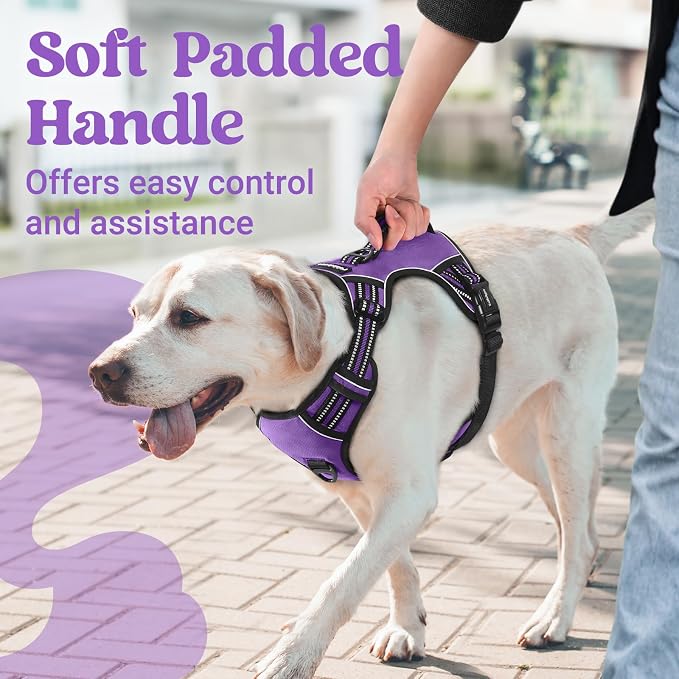 rabbitgoo Large Dog Harness, Easy Wear with 3 Buckles and Lift Handle | No Pull with Front Clip for Walking, Adjustable Soft Padded, Reflective, Easy Control, Purple, Small - Image 2