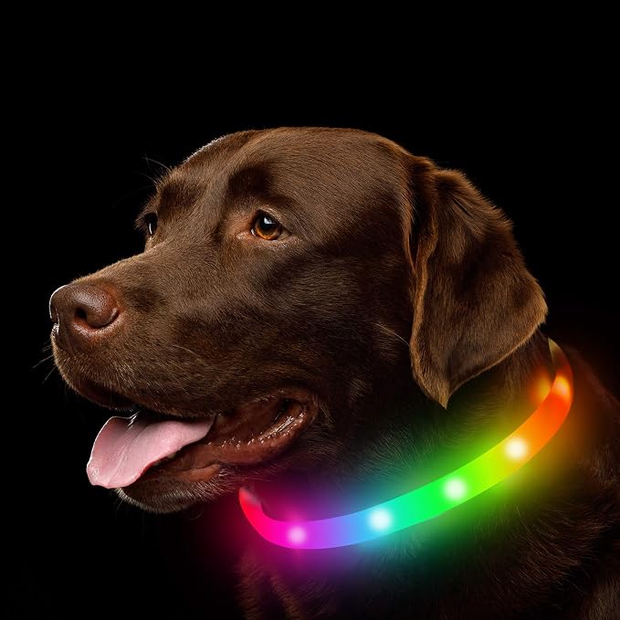 LED Dog Collar, Rechargeable RGB Color Changing Light Up Dog Collars, Waterproof Dog Lights Make Pet Visible and Safety for Night Walking，Outdoor, Camping, for Small Medium Large Dogs by NOVKIN