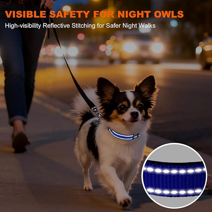 Taglory Reflective Dog Collar for Puppies, Gentle and Safe for Night Walks | Night-Walk Visibility, Soft Neck Cushioning, Adjustable 8-12 in, Locking Buckle, D-Ring for Leash and ID Tags - Image 5