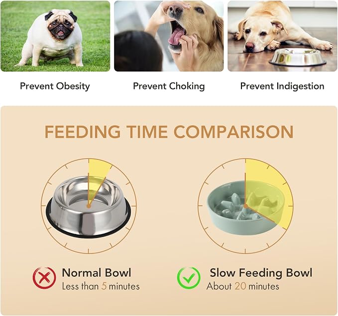 Havniva Dog Bowls Slow Feeder, Ceramic Slow Feeder Dog Bowls for Fast Eater | 0.9 Cups Dog Food Bowl Puzzle Feeder, Slow Feeding Bowls for Small Breed, Non-Slip Base, Anti-Choking - Image 5