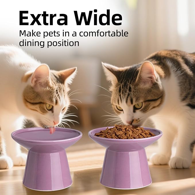 Ceramic Elevated Cat Bowls - 6.2 Inch Extra Wide Raised Cat Food and Water Bowl Set for Indoor Cats, Whisker-Friendly Ceramic Cat Dish for Elder Big Cats & Small Dogs,Dark Purple,1 Pack - Image 3