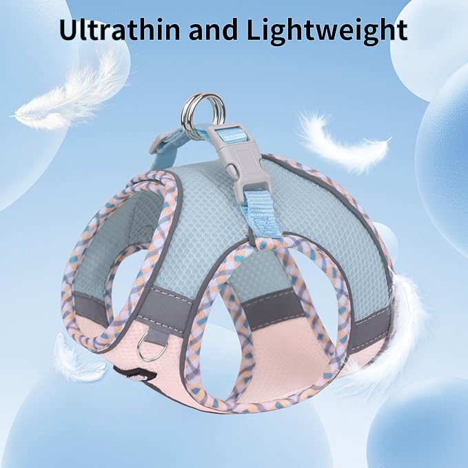 Breathable Dog Harness Small Sized and Leash Set, Blue-Pink XXXS | No Pull Step-in Vest, Lightweight Mesh, Reflective Design with High-Stick Magic Tape, Outdoor Use for Chihuahua, Maltese - Image 6