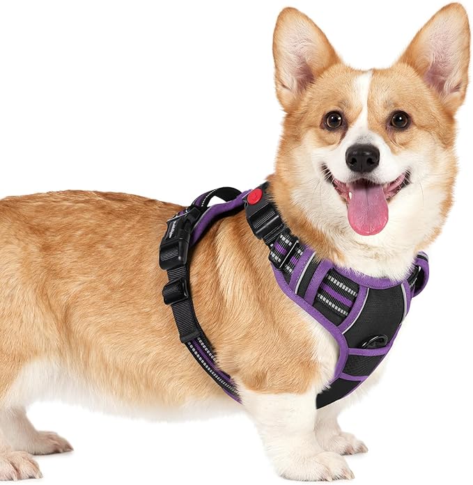 rabbitgoo Dog Harness Small Sized, Updated Easy On & Off with 3 Buckles | No Pull No Choke, Walking with 2 Clips and Handle, Adjustable Soft Reflective, Black & Purple, Small by rabbitgoo