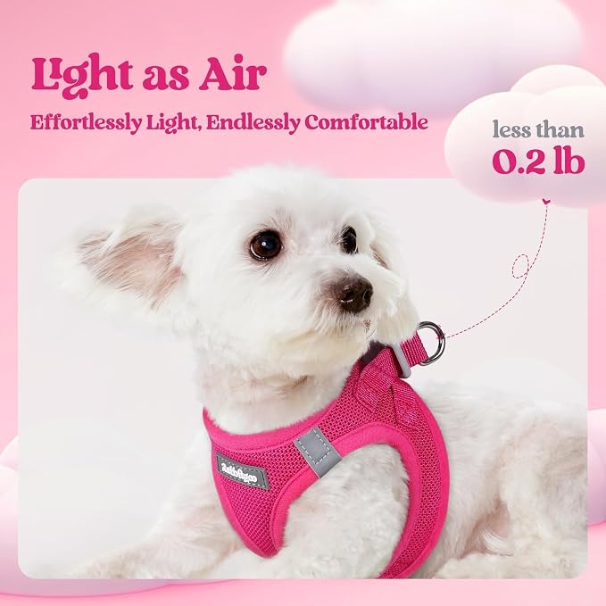 rabbitgoo Dog Harness Medium Sized and Leash Set, Step-in Puppy Pet Vest | Light, Soft, Breathable Air Mesh, Easy on and Remove with Hook & Loop, Secure Reflective for Walking, Rose Red XL - Image 3