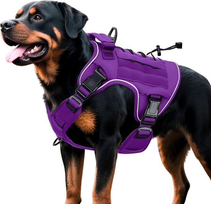 Heavy-Duty Tactical Dog Harness for Large Dogs, No Pull Adjustable Reflective Pet Vest with Molle System, K9 Military-Grade Control for Service Training, Outdoor & 10+ Breeds, Purple, X-Large by Bruvoalon