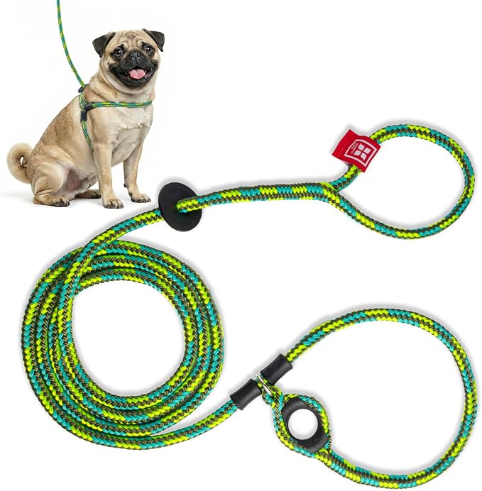 Harness Lead No Pull Dog Harness and Leash Set, Anti Pull Dog Harness, One-Piece Cushioned Rope Safely Prevents Escaping and Pulling (Small/Medium, Rainforest) by HarnessLead