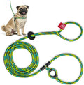 Harness Lead No Pull Dog Harness and Leash Set, Anti Pull Dog Harness, One-Piece Cushioned Rope Safely Prevents Escaping and Pulling (Small/Medium, Rainforest) by HarnessLead