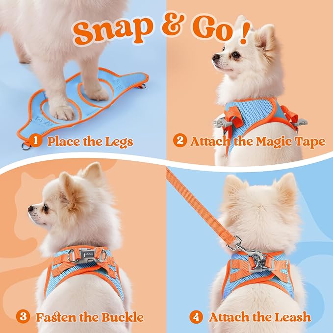 rabbitgoo Dog Harness Small Sized and Leash Set, Step in Soft Vest | Breathable Mesh, Easy Wear with Hook & Loop, Light and Reflective for Walking, Multi-colored, Blue & Orange, XS - Image 2
