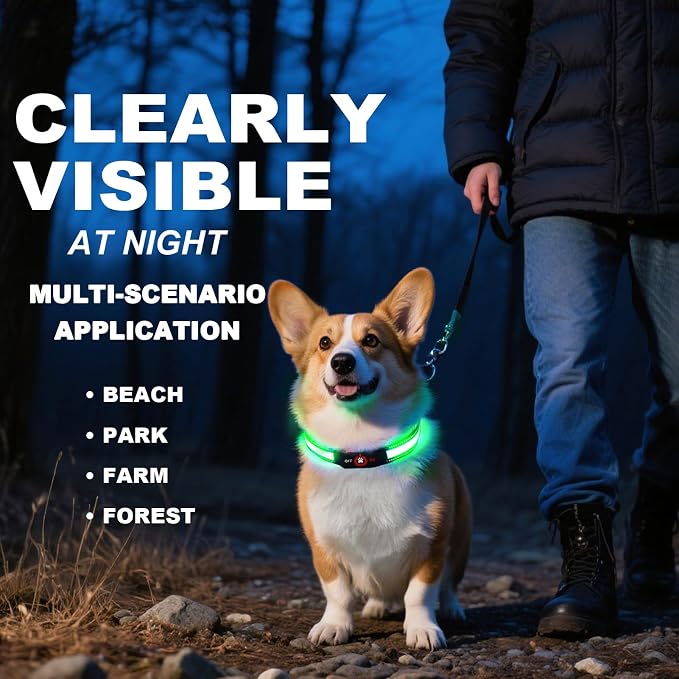 Light Up Dog Collar, 2026 Long-Lasting Power LED Dog Collar Lights for Night Walking, Rechargeable & Adjustable, Waterproof & Safety Glowing Collars for Small Medium and Large Dogs [Green-S] - Image 4