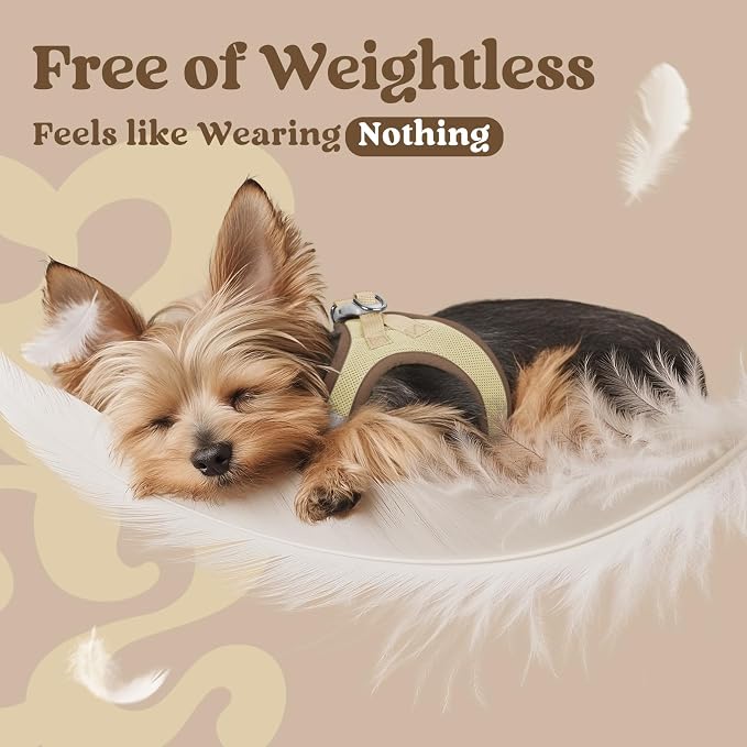 rabbitgoo Step-in Small Dog Harness, Puppy Vest for Small Sized Pet | Easy Put on and off, Lightweight, Soft, Breathable Quick-Dry Air Mesh for Comfortable Secure Walking, Brown & Beige XXS - Image 4