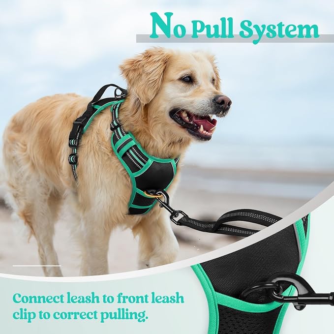 rabbitgoo Dog Harness, No Pull for Small Dogs with 2 Leash Clips, Pet Vest | No Choke with Handle, Adjustable Soft Padded, Reflective, Easy Control for Walking, Black & Turquoise, Small - Image 5