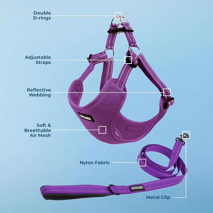 Best Pet Supplies Voyager Adjustable Step-in Flex Breathable Mesh Dog Harness for Small Medium Large Dogs Leash Set (Purple), S - Image 3