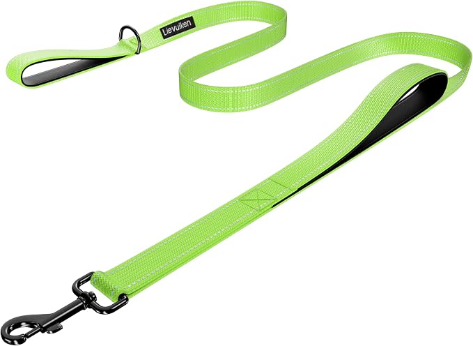 Dog Leash 6ft Long,Double Handle Dog Leash for Control Training | Heavy Duty Dog Leads with Traffic Padded Handles, Reflective Leashes for Small Medium Large Dogs(6ft, Green) by LIEVUIKEN