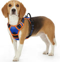 Eagloo Dog Harness for Small Dogs, No Pull Pet Vest with 2 Leash Clips | No Choke with Handle, Adjustable Comfort Fit, Reflective Strips, Easy Walking Control, Blue & Orange, Small by GoExplorewithEagloo
